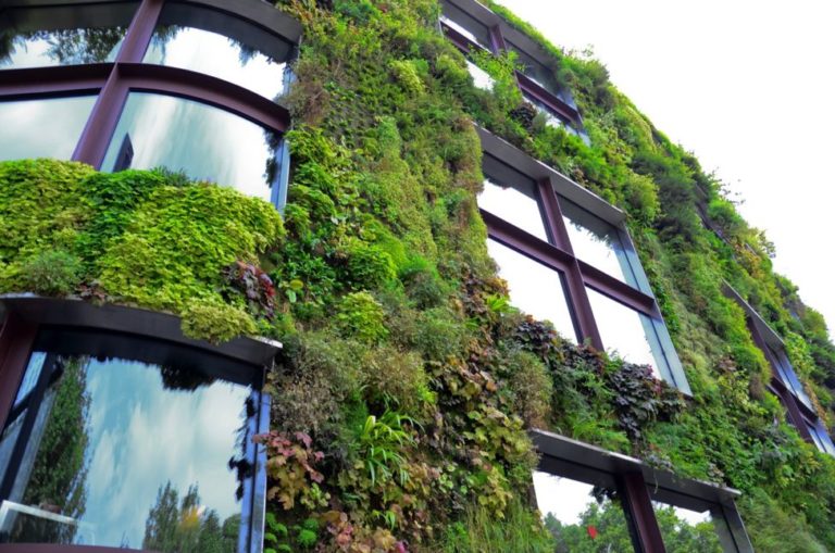 Vertical Garden